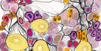 1. Bone Marrow, pen on paper, 6"x6" (2009)