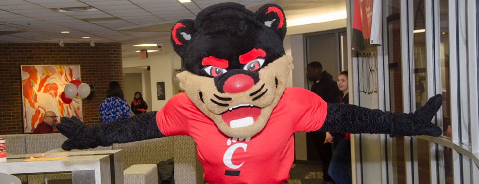 Bearcat mascot during admissions open house event